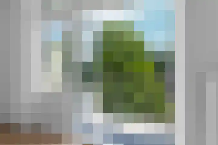 Overtoom 481 3 Amsterdam thumbnail 20