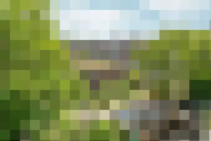 Overtoom 481 3 Amsterdam thumbnail 23