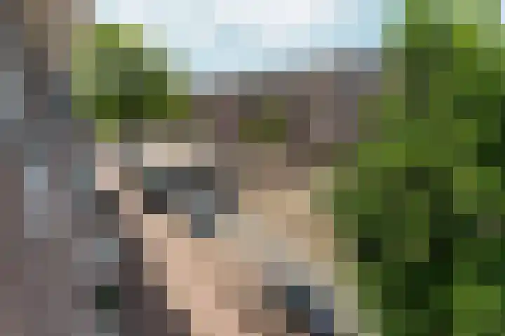 Overtoom 481 3 Amsterdam thumbnail 29
