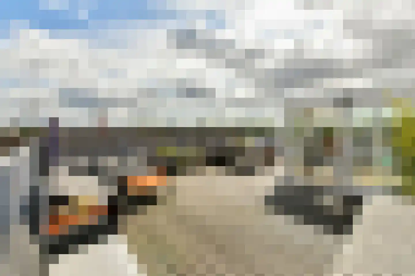 Overtoom 482 4 Amsterdam thumbnail 22