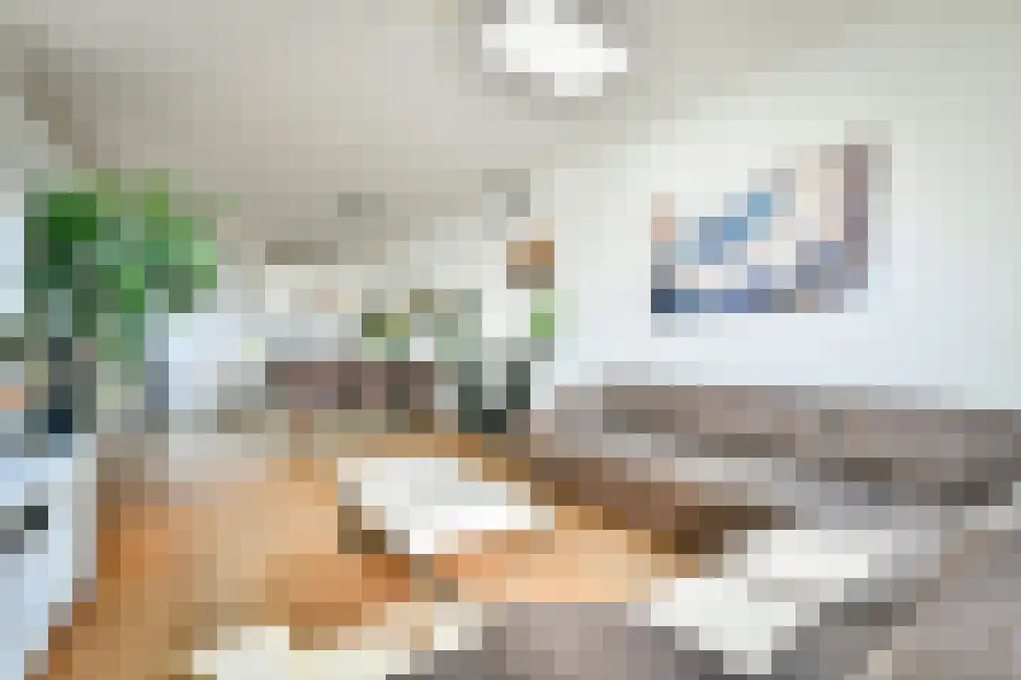 Overtoom 482 4 Amsterdam thumbnail 8