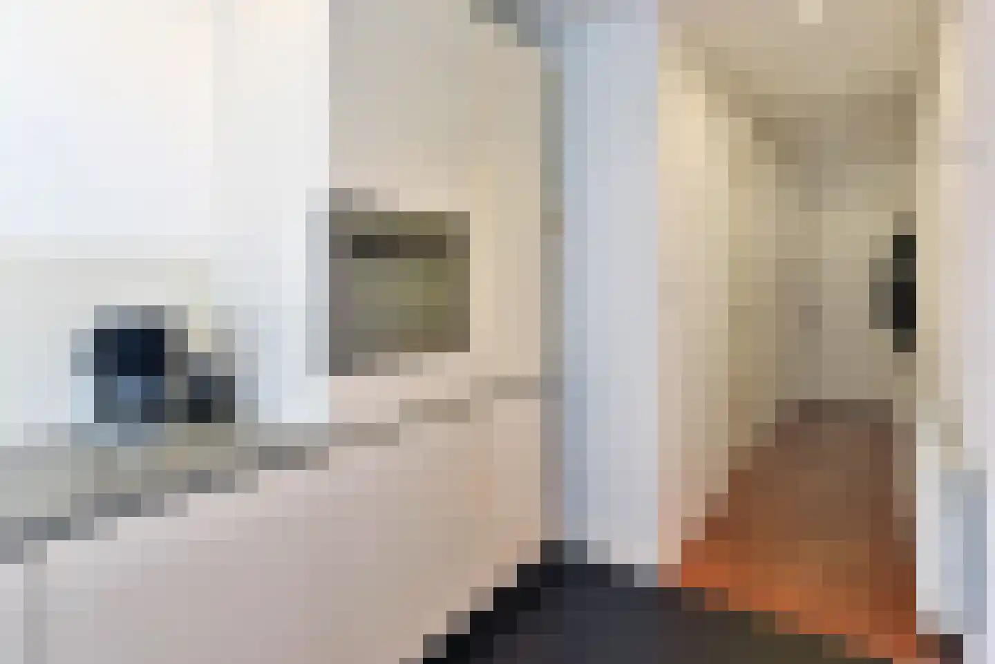 Overtoom 484 2 Amsterdam thumbnail 15