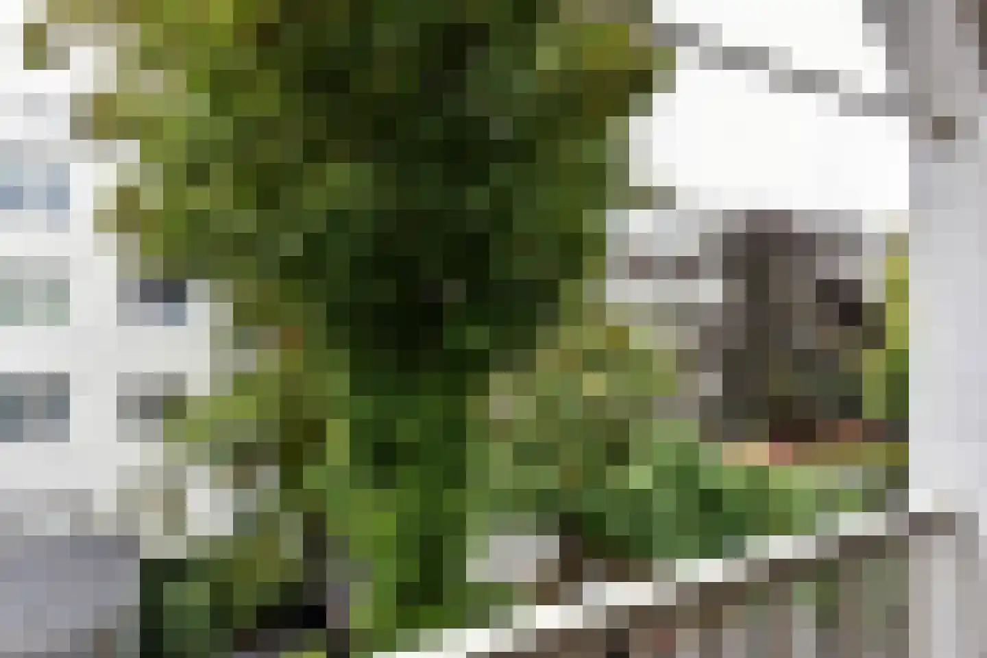 Overtoom 484 2 Amsterdam thumbnail 19