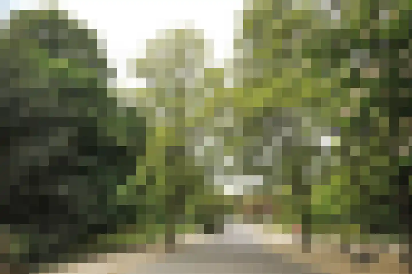 Overtoom 484 2 Amsterdam thumbnail 5