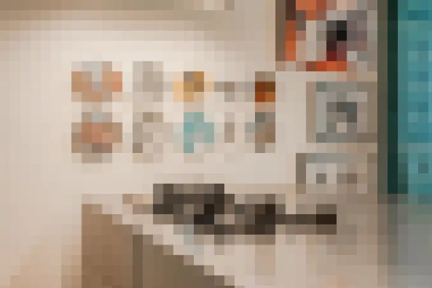 Overtoom 484 4 Amsterdam thumbnail 20