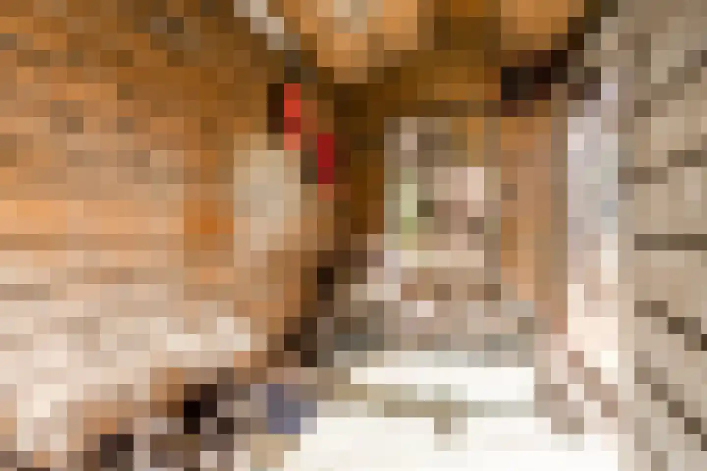 Overtoom 484 4 Amsterdam thumbnail 8