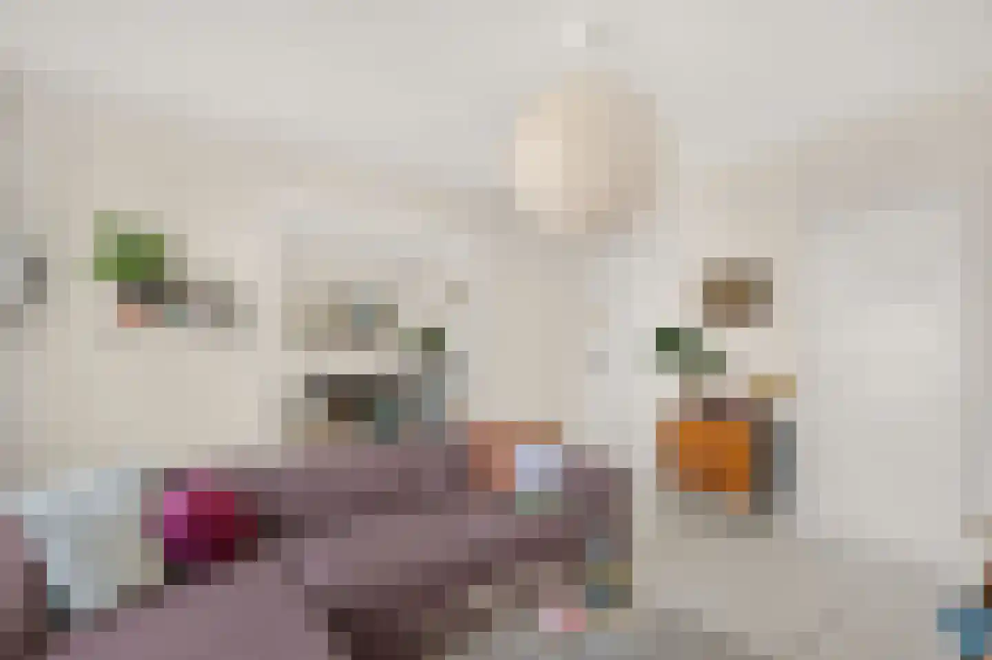 Overtoom 489 3 Amsterdam thumbnail 13