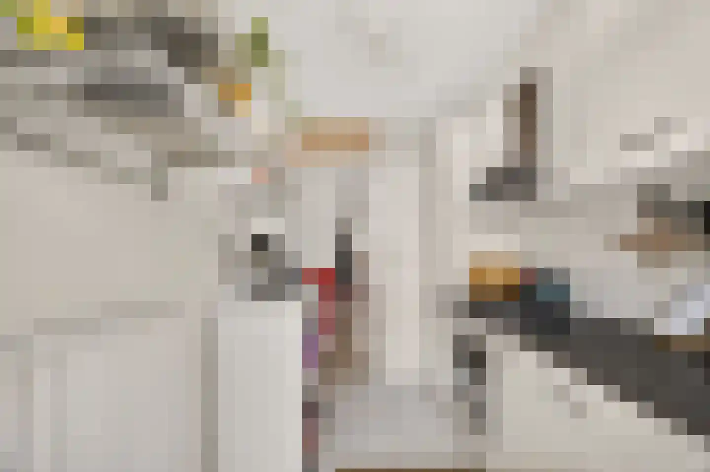 Overtoom 489 3 Amsterdam thumbnail 18