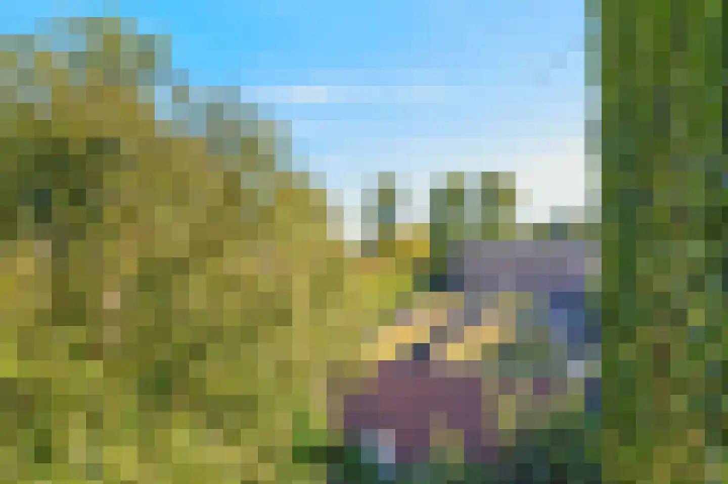 Overtoom 489 3 Amsterdam thumbnail 32