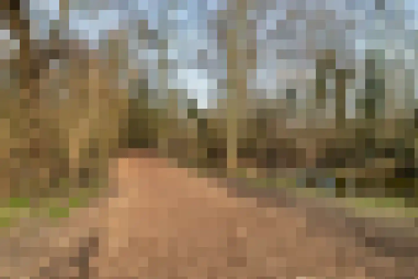 Overtoom 495 2 Amsterdam thumbnail 26