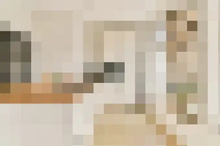 Overtoom 499 2 Amsterdam thumbnail 10