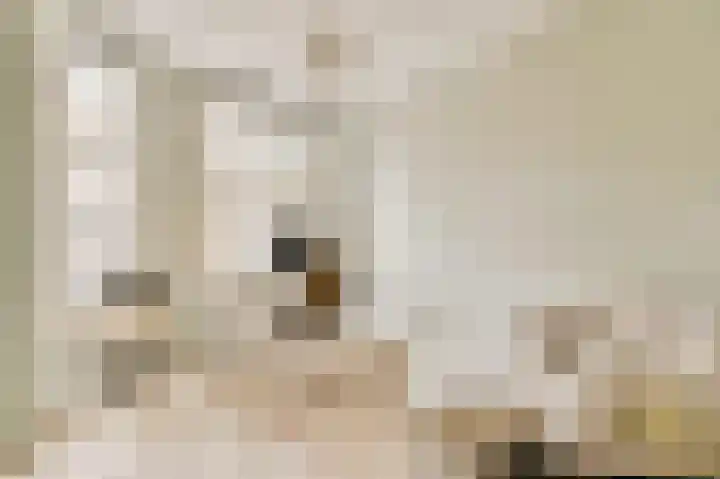 Overtoom 499 2 Amsterdam thumbnail 18