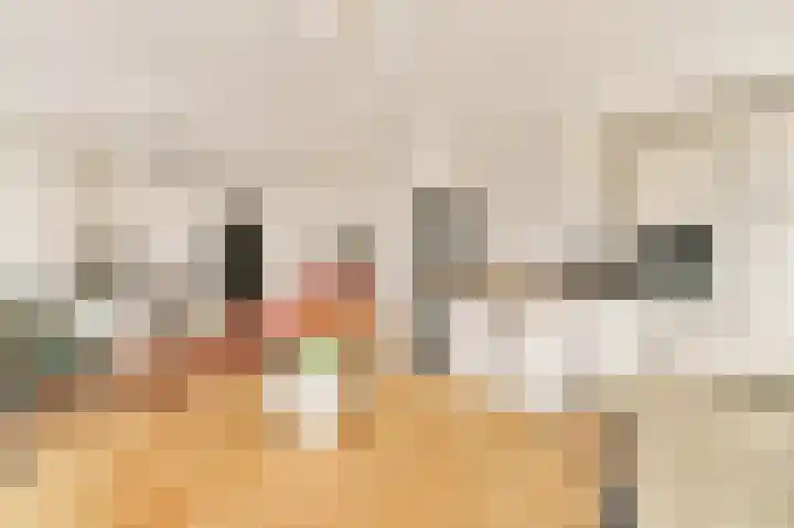 Overtoom 499 2 Amsterdam thumbnail 8