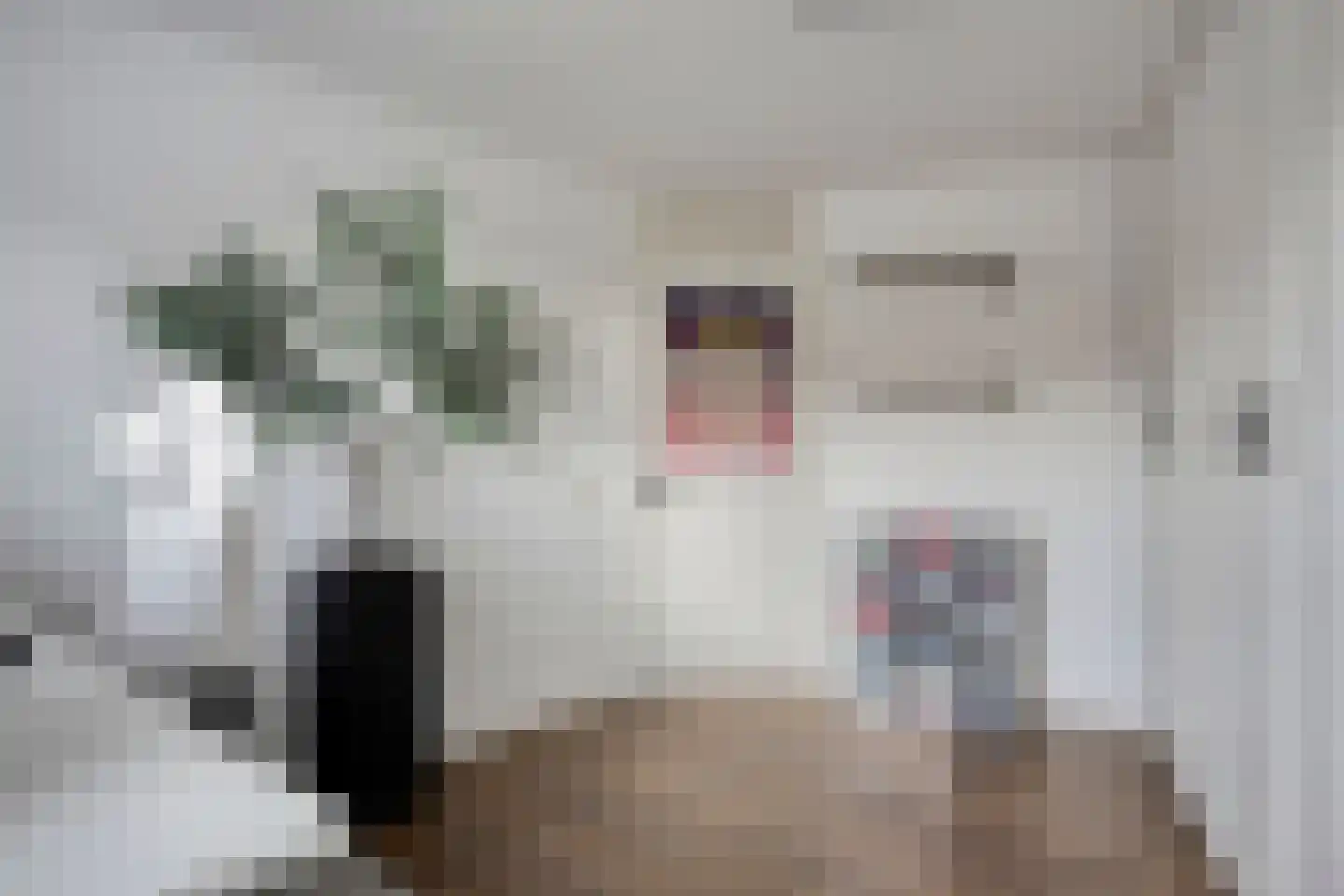 Overtoom 5 b Castricum thumbnail 14