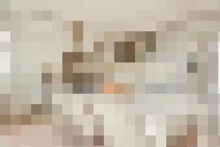 Overtoom 502 1 Amsterdam thumbnail 13