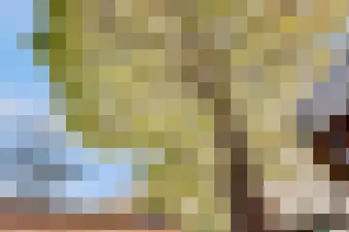 Overtoom 502 1 Amsterdam thumbnail 40