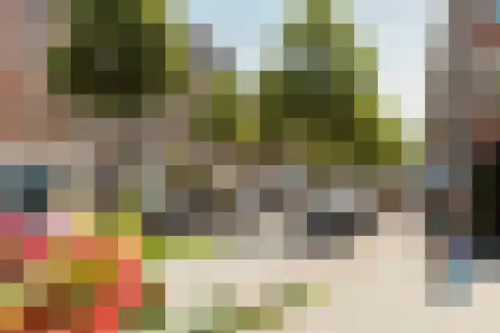 Overtoom 502 1 Amsterdam thumbnail 48