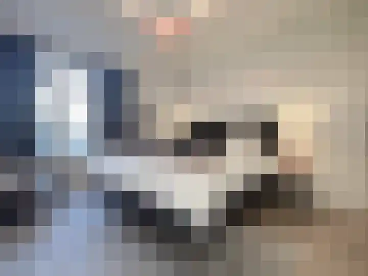 Overtoom 502 1 Amsterdam thumbnail 9
