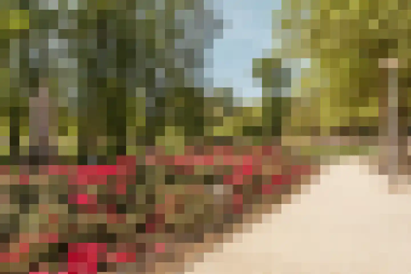 Overtoom 506 H Amsterdam thumbnail 34