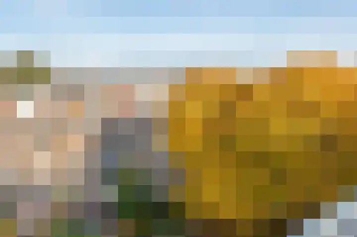 Overtoom 508 4 Amsterdam thumbnail 28