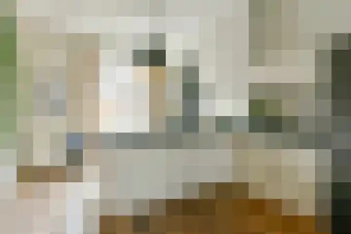 Overtoom 509 H Amsterdam thumbnail 12