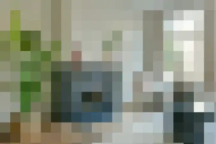 Overtoom 509 H Amsterdam thumbnail 8