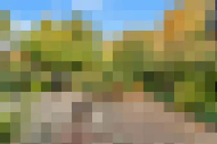 Overtoom 52 Castricum thumbnail 20
