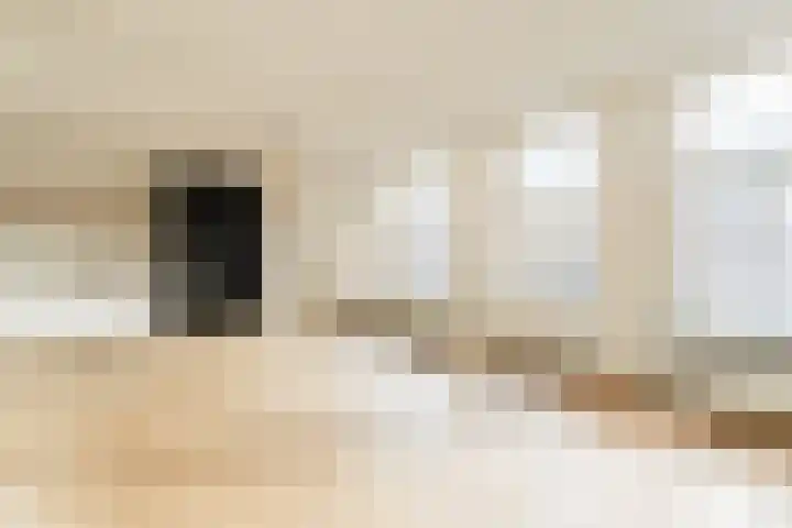 Overtoom 534 1 Amsterdam thumbnail 11