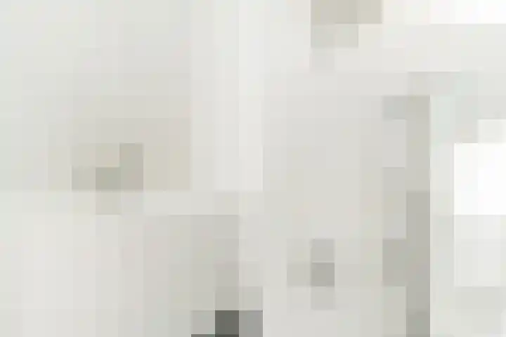 Overtoom 534 1 Amsterdam thumbnail 26