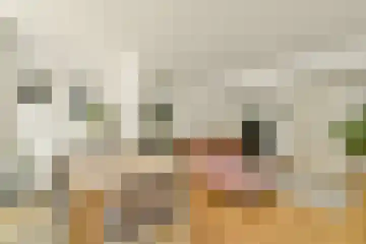 Overtoom 538 3 Amsterdam thumbnail 7