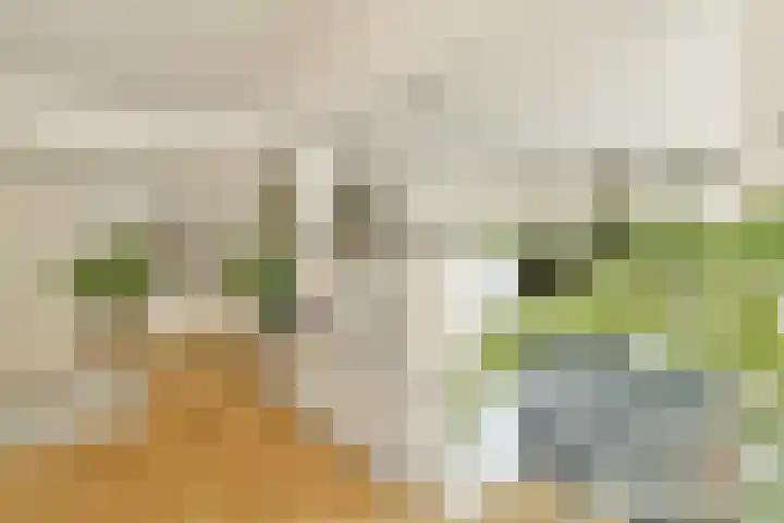Overtoom 538 3 Amsterdam thumbnail 9