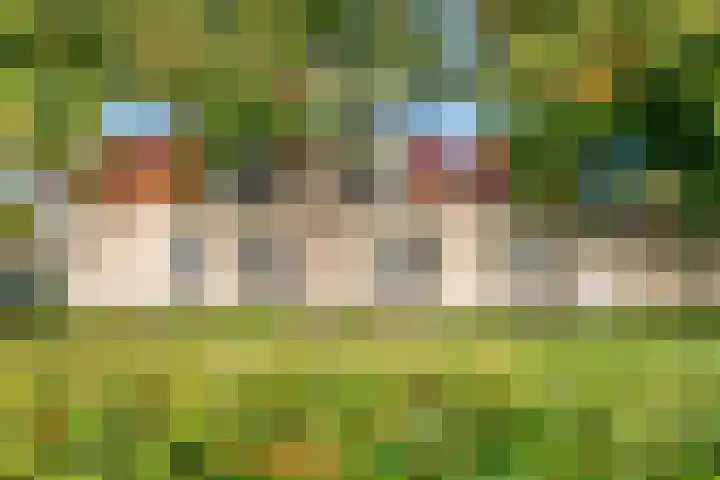 Overtoom 54 Castricum thumbnail 27