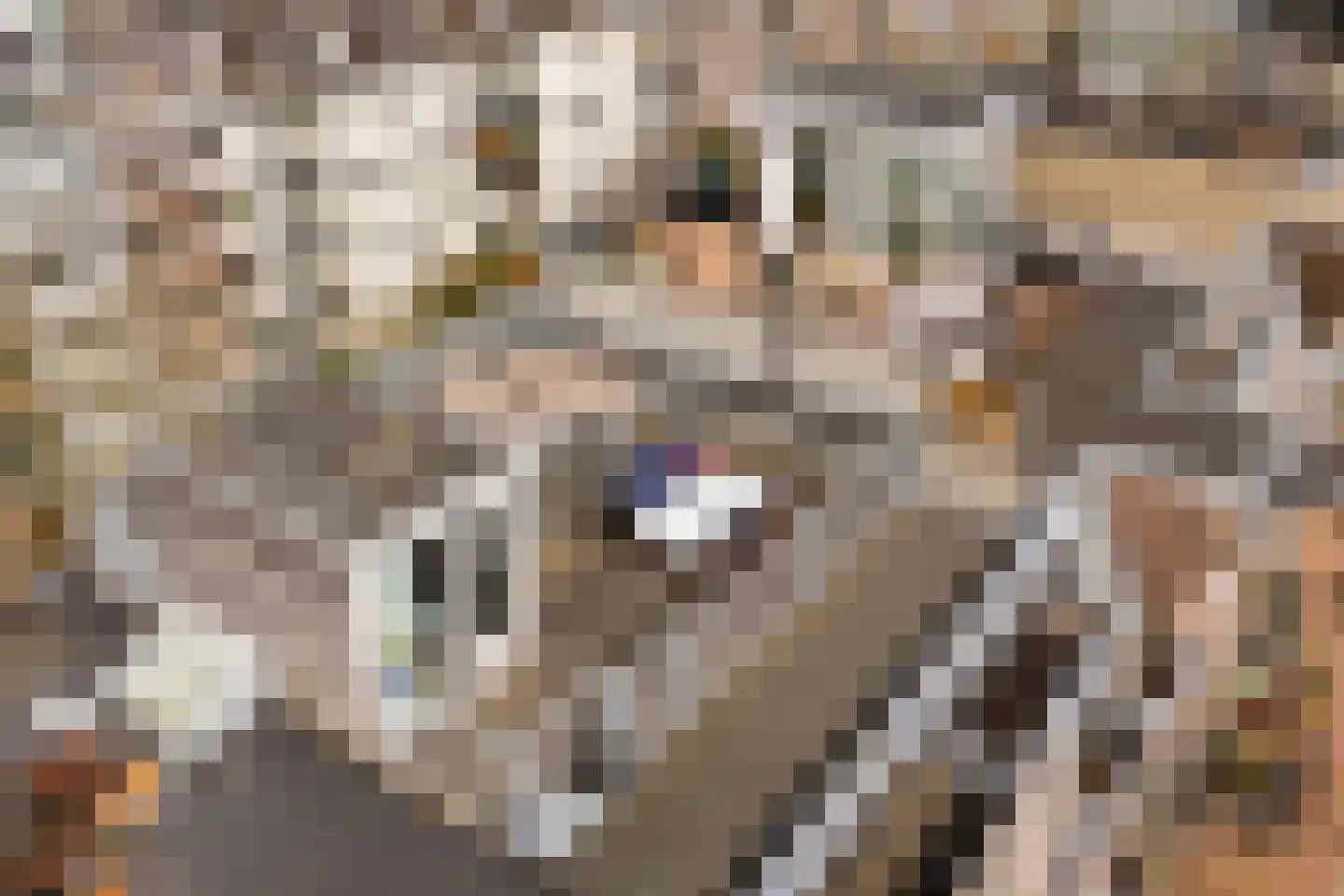 Overtoom 540 D 2 Amsterdam thumbnail 4