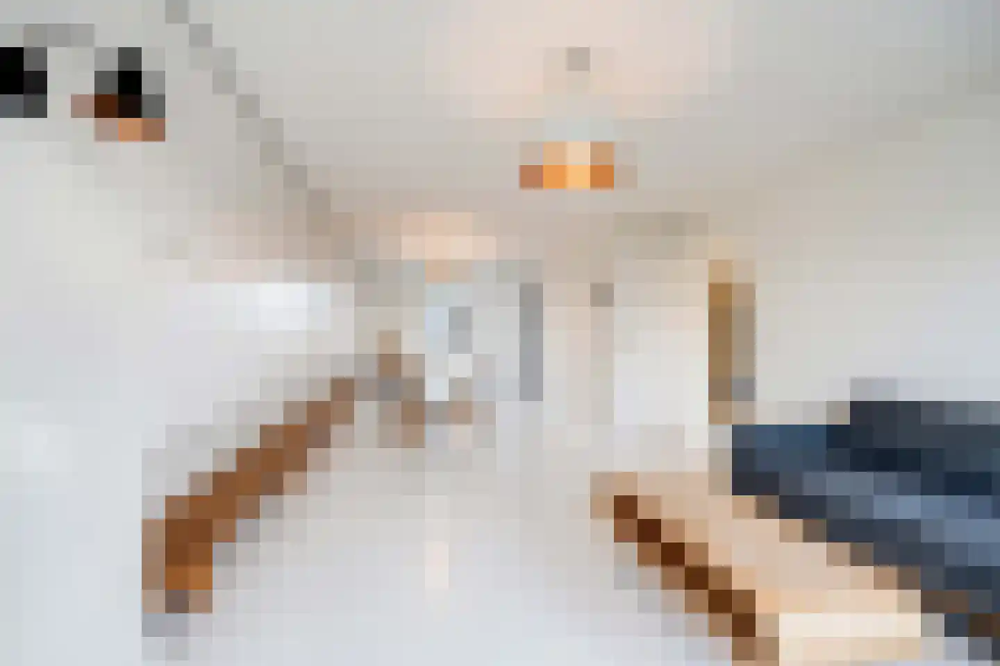 Overtoom 550 4 Amsterdam thumbnail 4