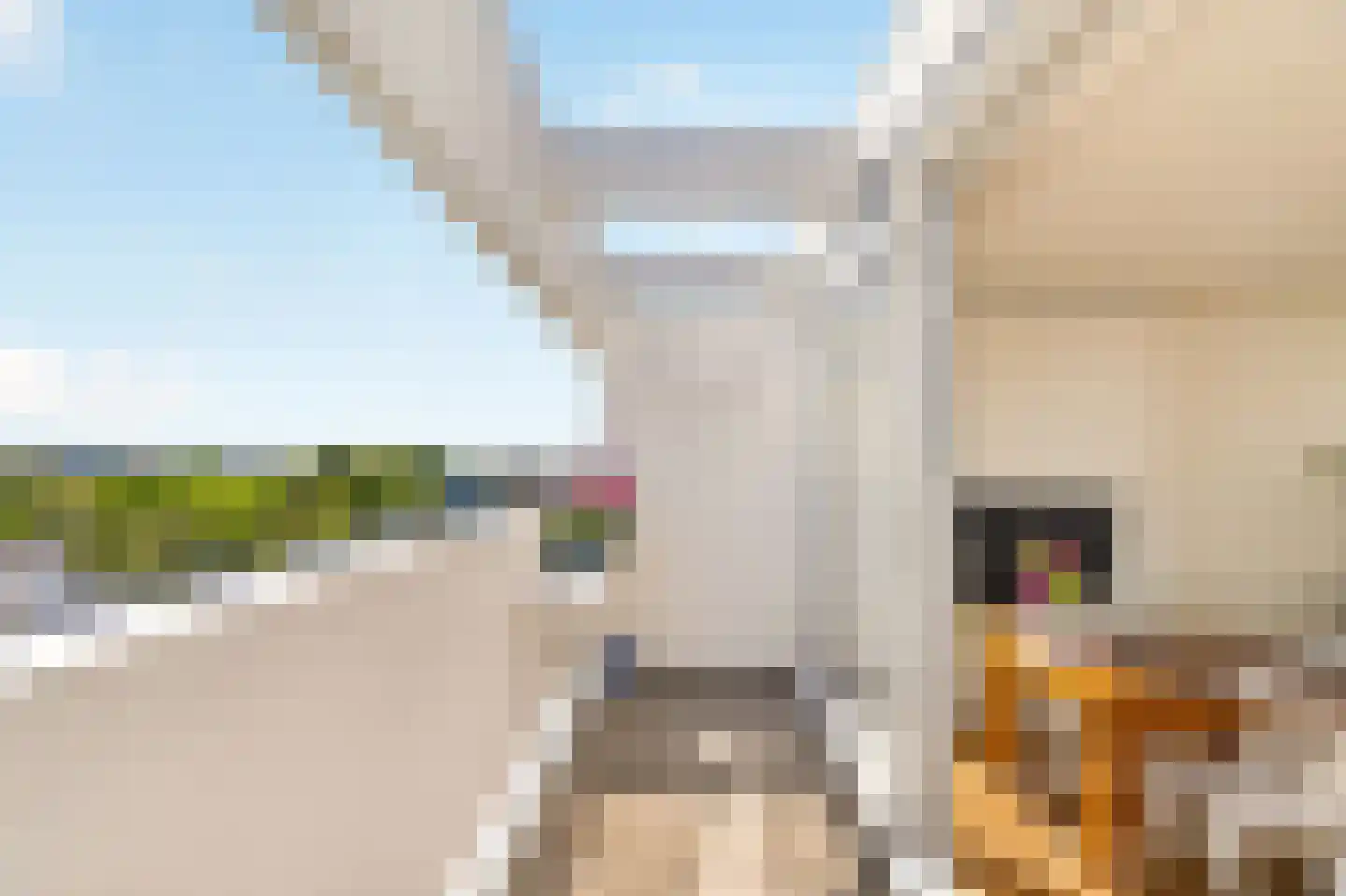 Overtoom 555 Amsterdam thumbnail 29