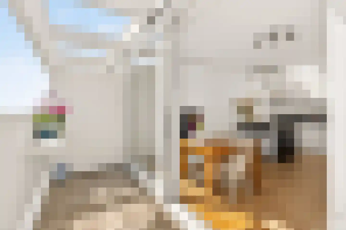 Overtoom 555 Amsterdam thumbnail 30