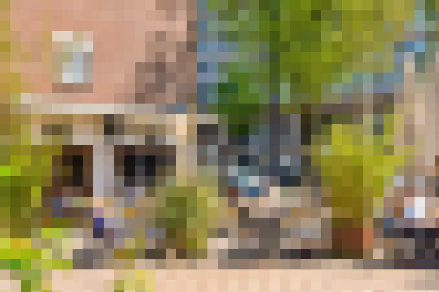 Overtoom 555 Amsterdam thumbnail 45
