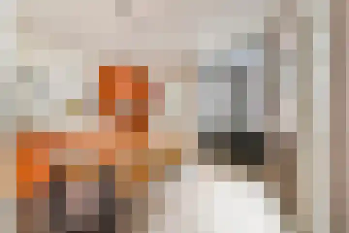 Overtoom 564 2 Amsterdam thumbnail 11