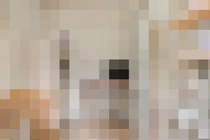 Overtoom 564 2 Amsterdam thumbnail 24