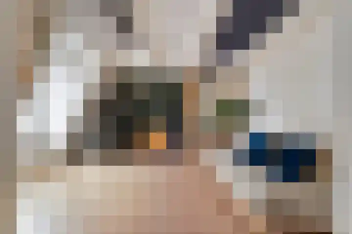 Overtoom 564 2 Amsterdam thumbnail 25