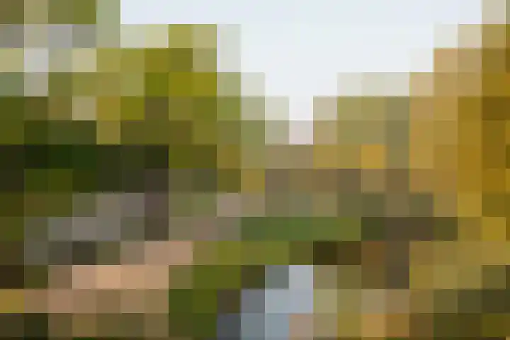 Overtoom 564 2 Amsterdam thumbnail 30