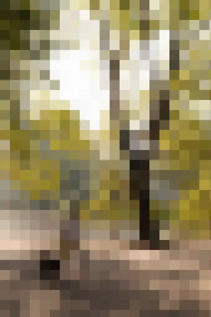 Overtoom 564 2 Amsterdam thumbnail 31