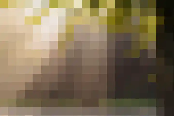 Overtoom 564 2 Amsterdam thumbnail 32