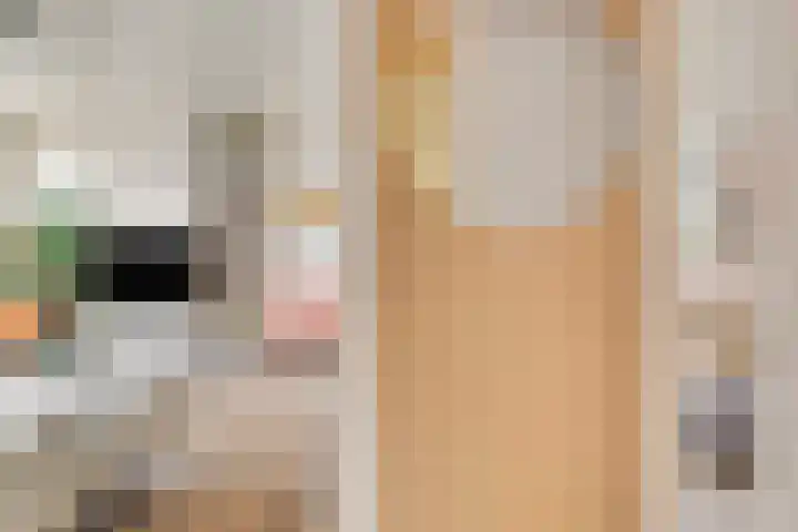 Overtoom 564 2 Amsterdam thumbnail 6