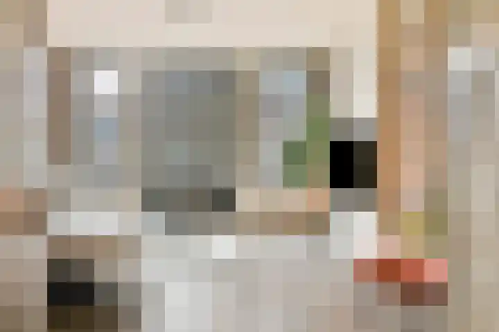 Overtoom 564 2 Amsterdam thumbnail 8
