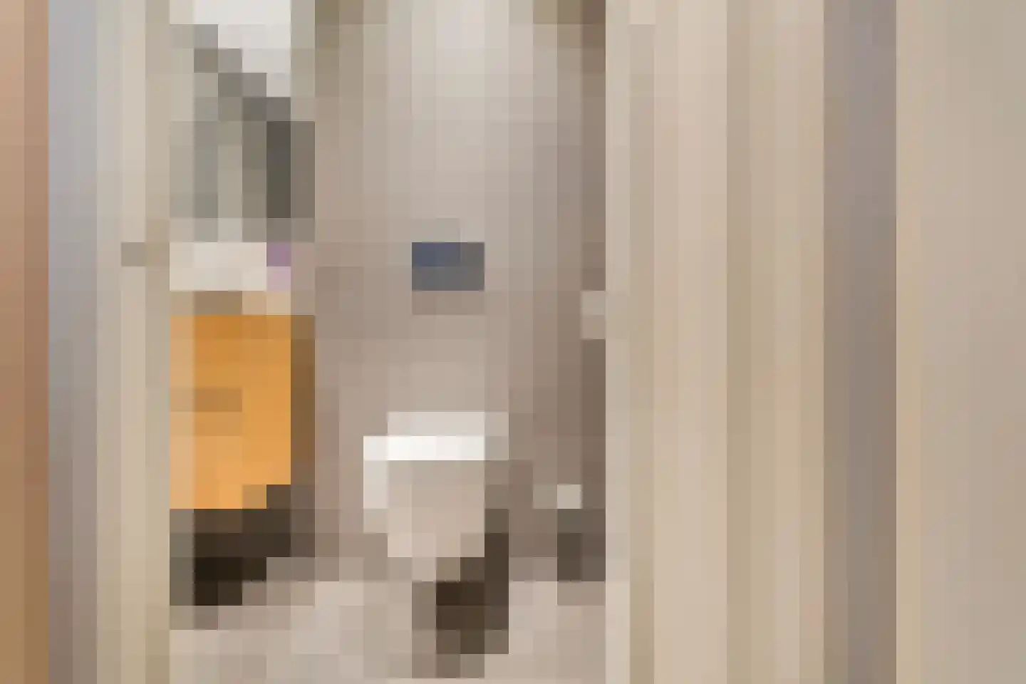 Overtoom 564 3 Amsterdam thumbnail 21