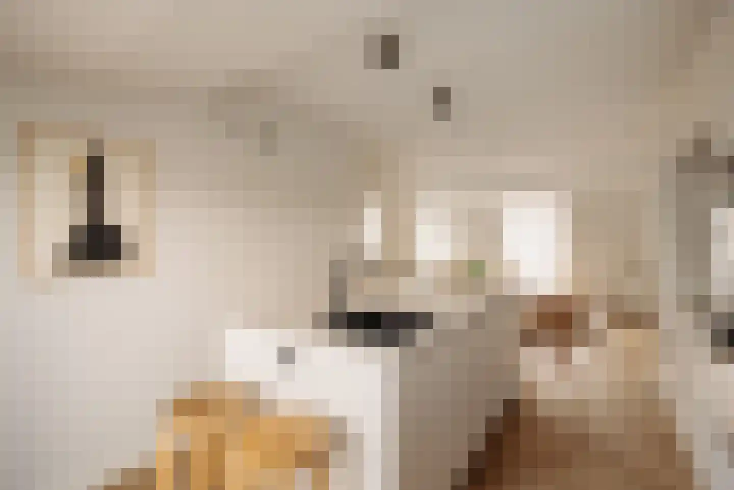 Overtoom 568 4 Amsterdam thumbnail 13