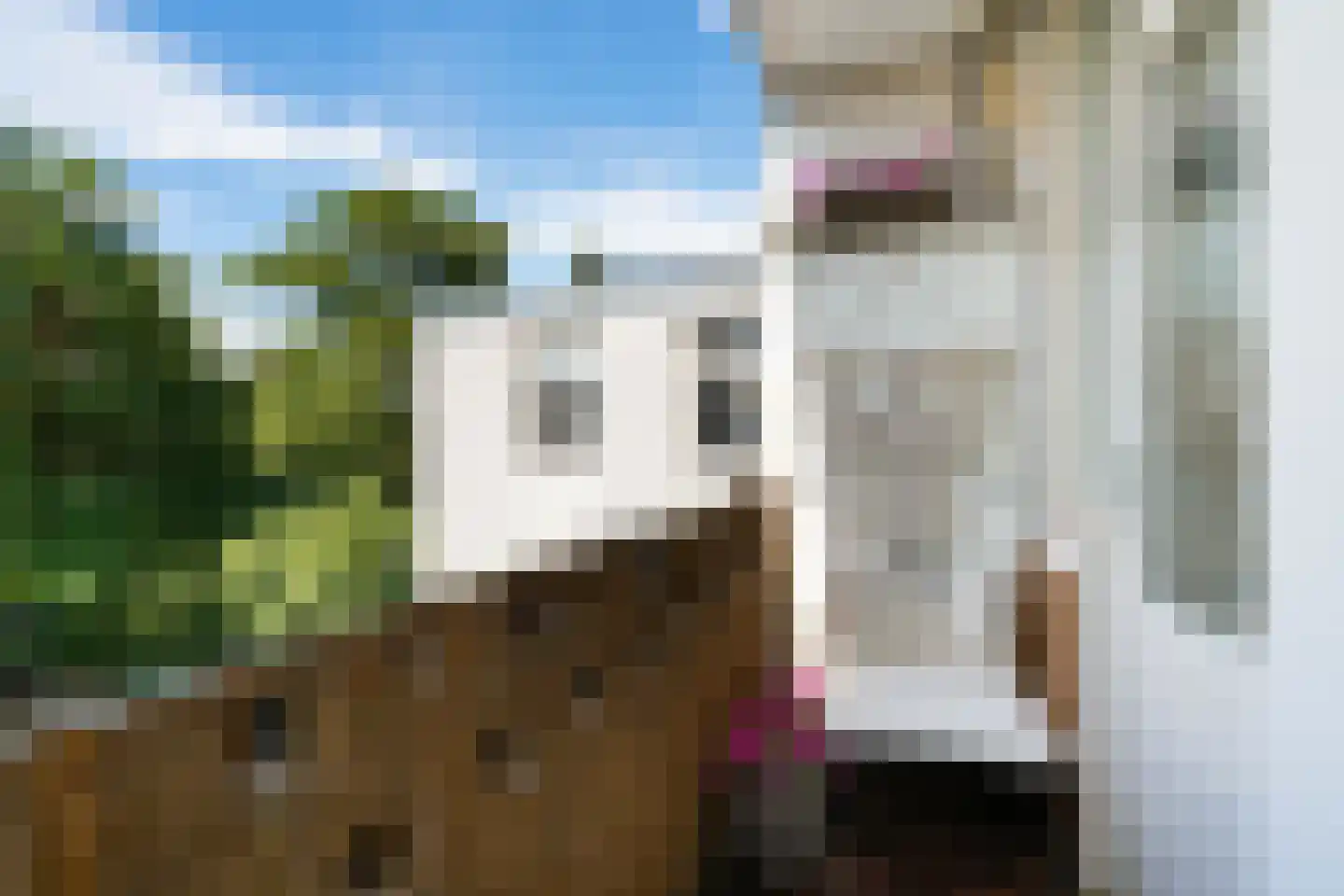 Overtoom 568 H Amsterdam thumbnail 17