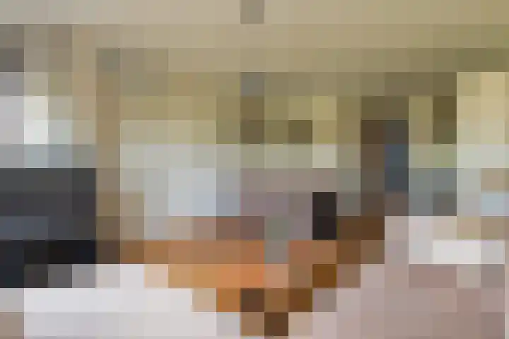 Overtoom 9 Zuidermeer thumbnail 12