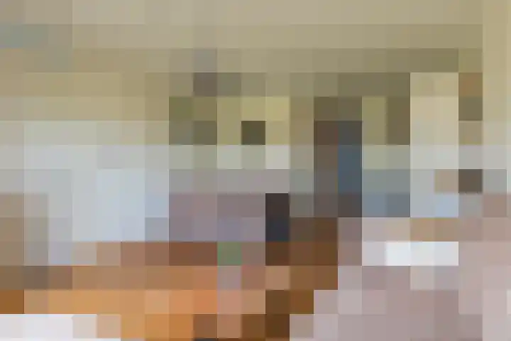 Overtoom 9 Zuidermeer thumbnail 13